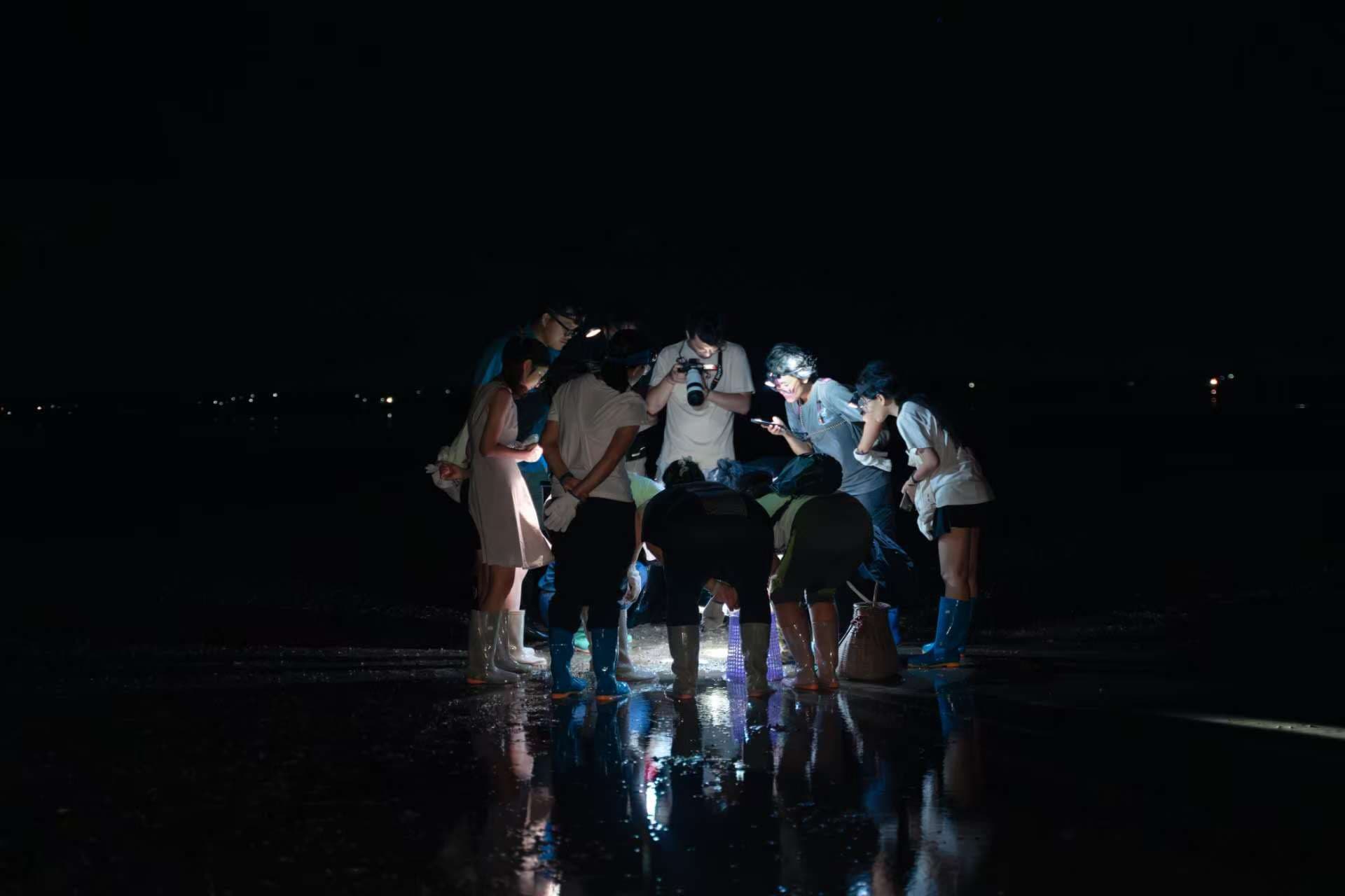 Nighttime field study with headlamps and marine specimen collection